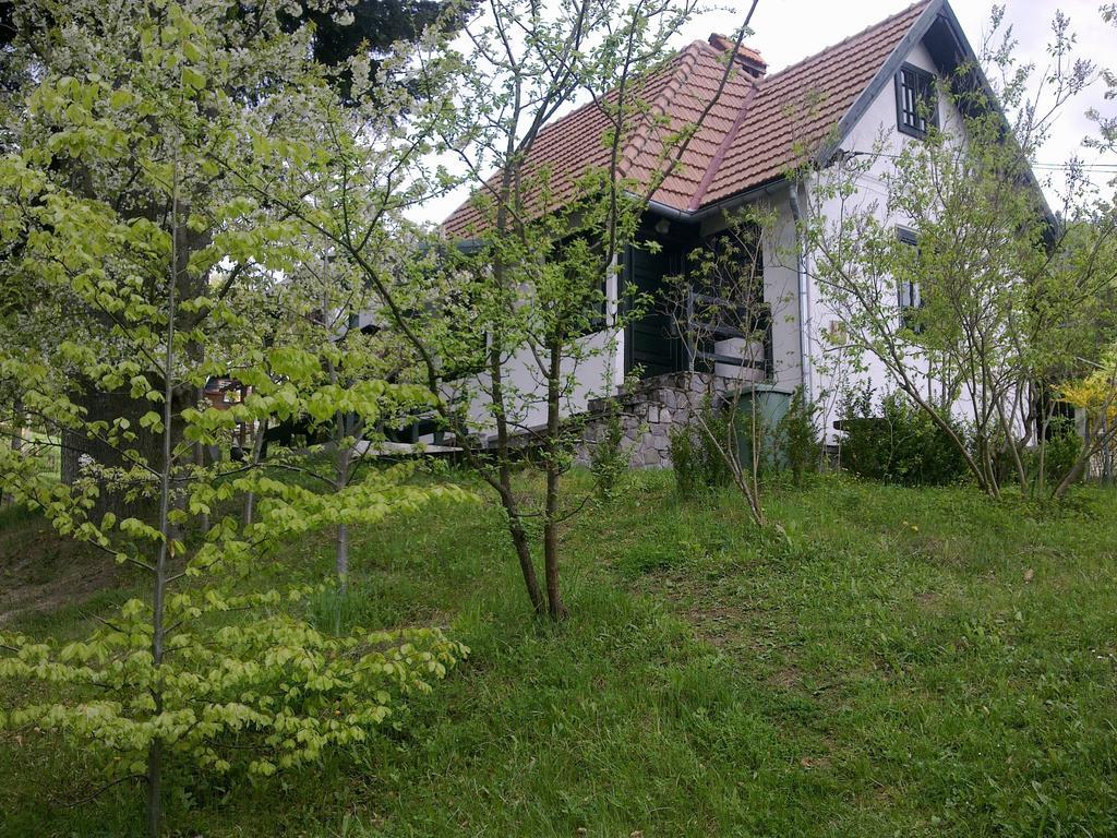 Casa Gabriela Sinaia Quarto foto