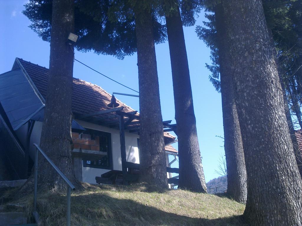 Casa Gabriela Sinaia Quarto foto