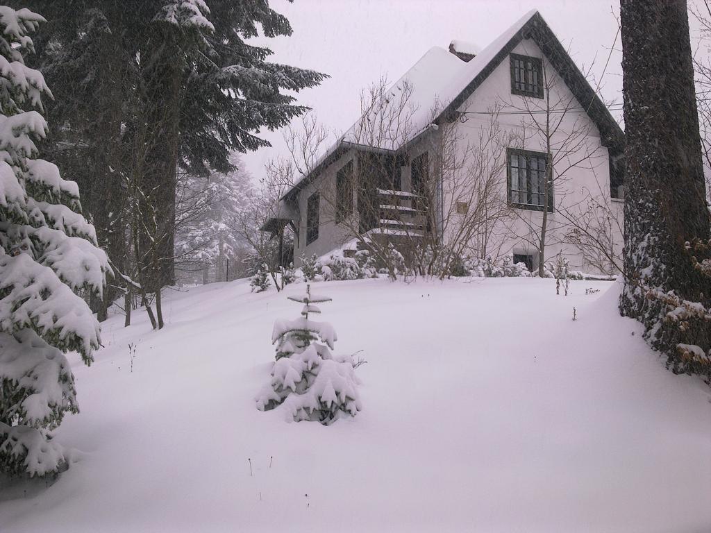 Casa Gabriela Sinaia Quarto foto